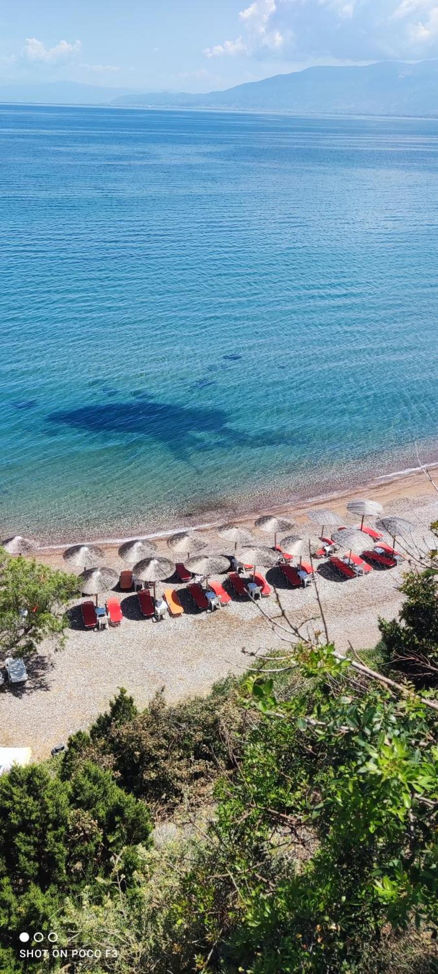 Koralli Sea View Hotel Kato Achaia Exterior photo